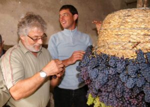Biou d'Arbois
